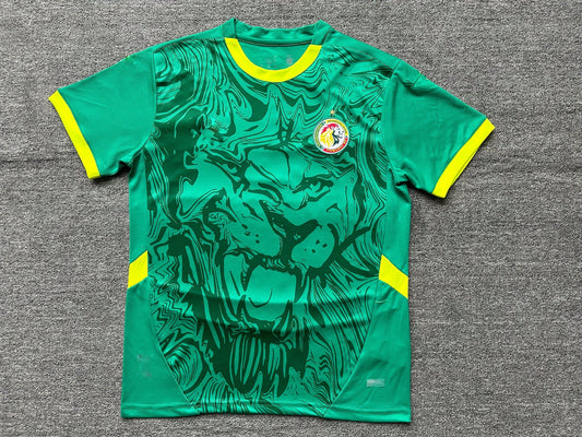 Maillot Côte Senegal 24/25