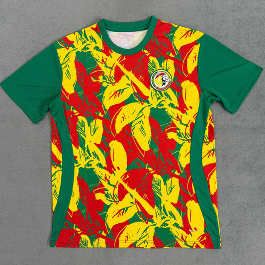 Maillot Côte Senegal 24/25